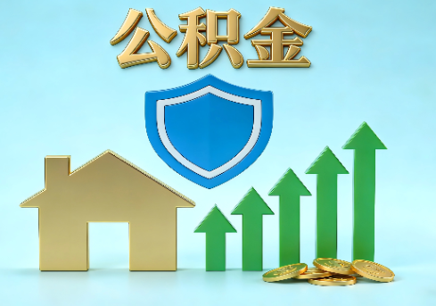 新余当前住房公积金提取条件分类指南与政策趋势